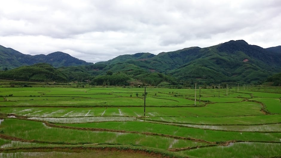 The Hidden Dangers Of Underinsuring Your Business: A Cautionary Tale