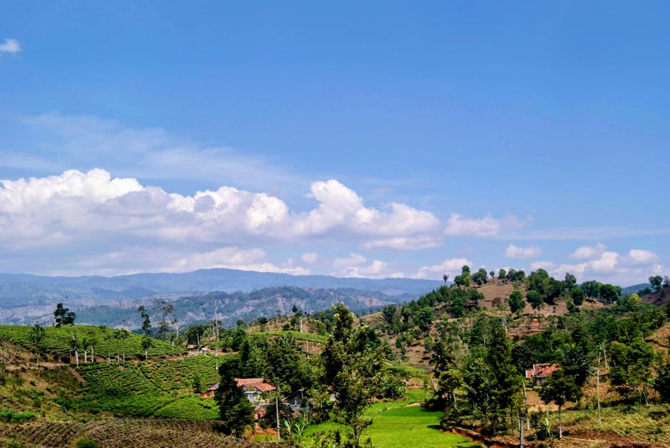 The Hidden Dangers Of Underinsuring Your Business: A Cautionary Tale - Page 3