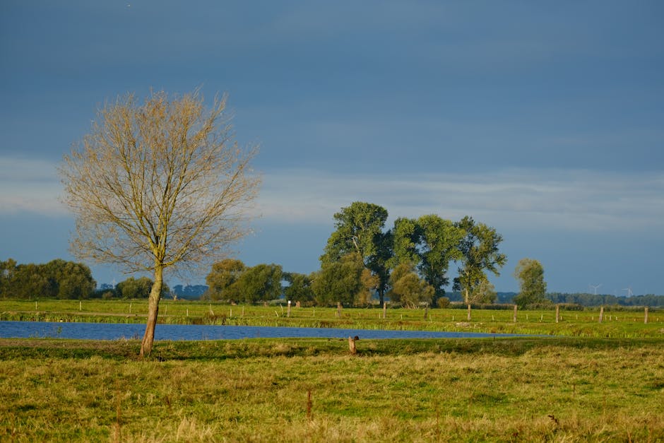 10 Morning Habits That Boost Your Energy Levels Instantly