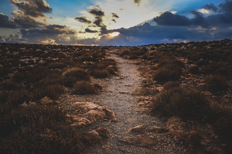 10 Morning Habits That Boost Your Energy Levels Instantly - Page 4